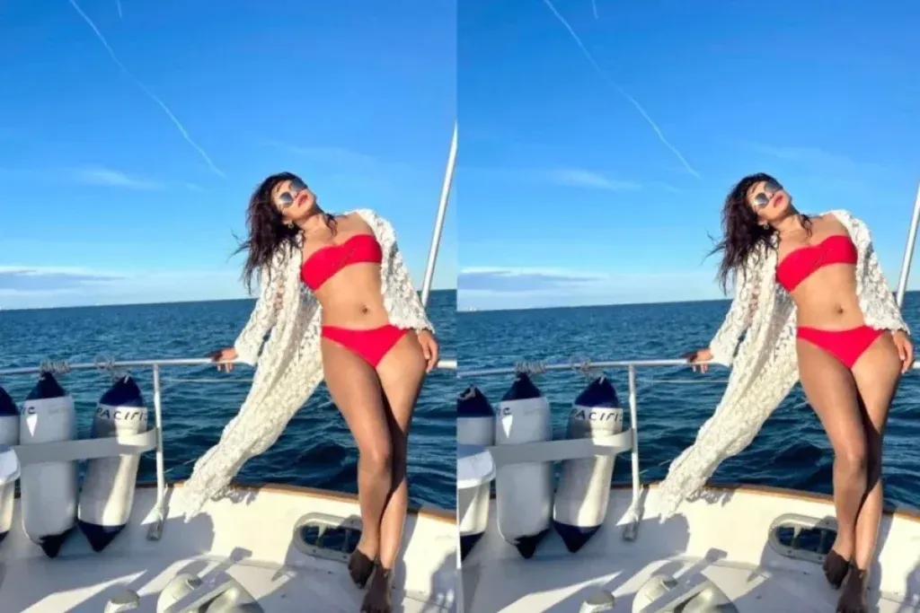 Priyanka Chopra Bikini Look 