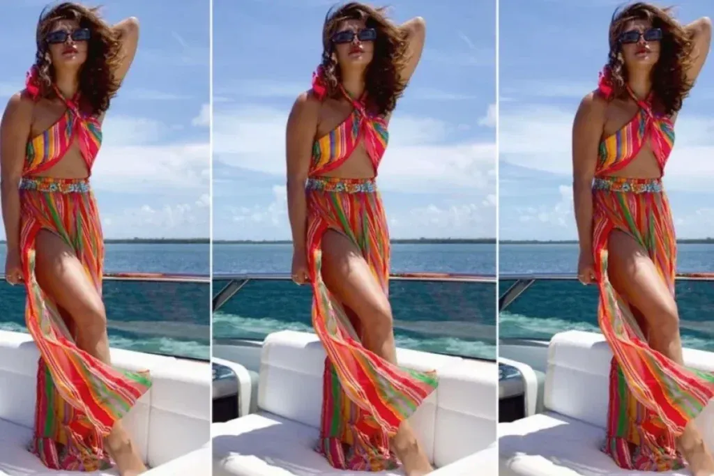Priyanka Chopra Bikini Look 