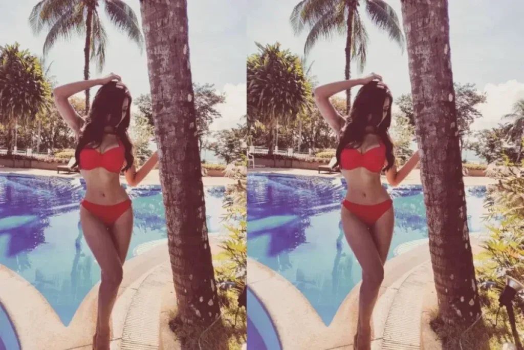Meenakshi Chaudhary Bikini Look