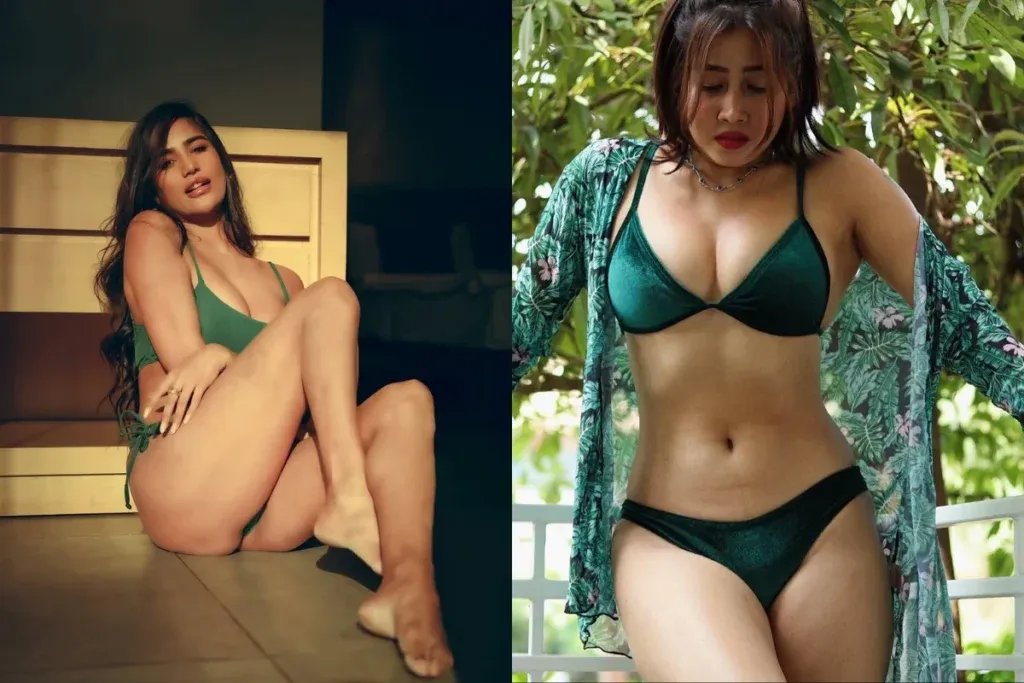 Sofia Ansari vs Poonam Pandey