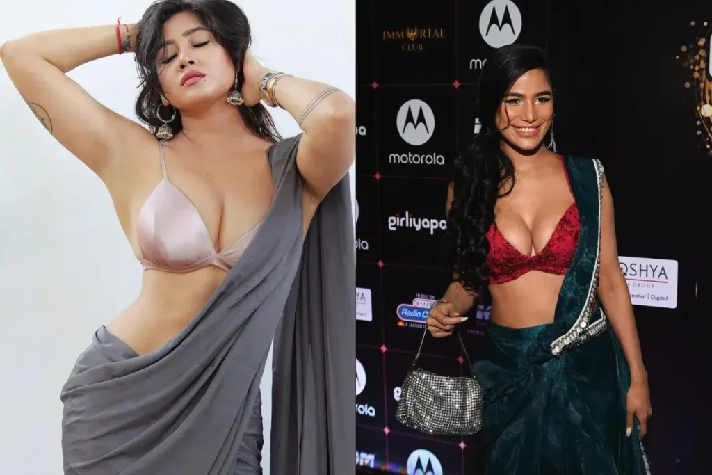 Sofia Ansari vs Poonam Pandey