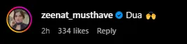 Instagram Comments Section