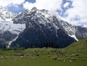 Jammu and Kashmir