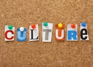 culture-2-390x285