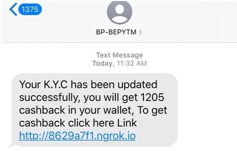 SMS Fraud