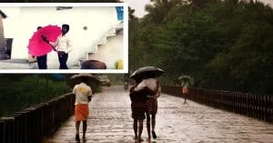 umbrella