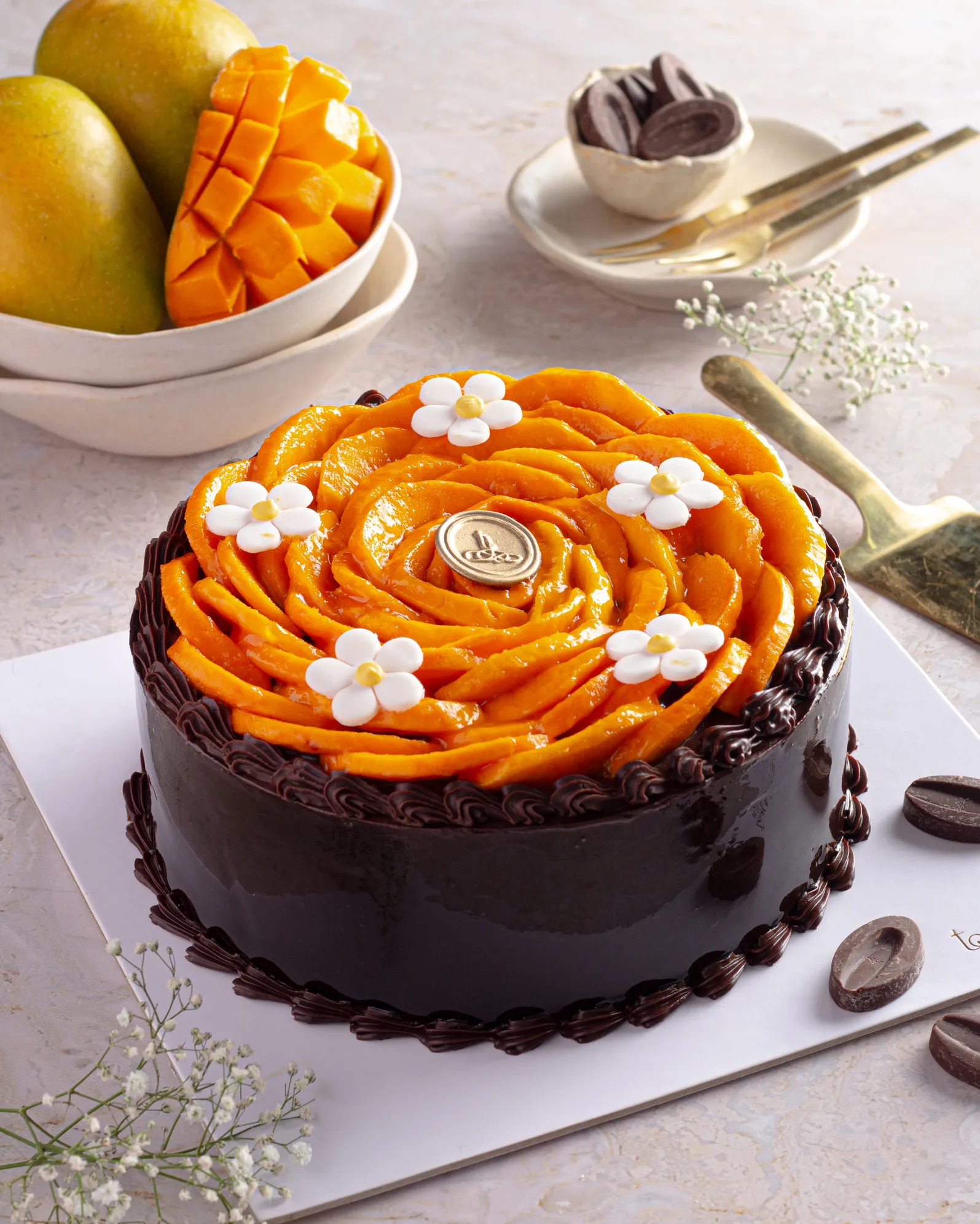 Chocolate & Mango Cake