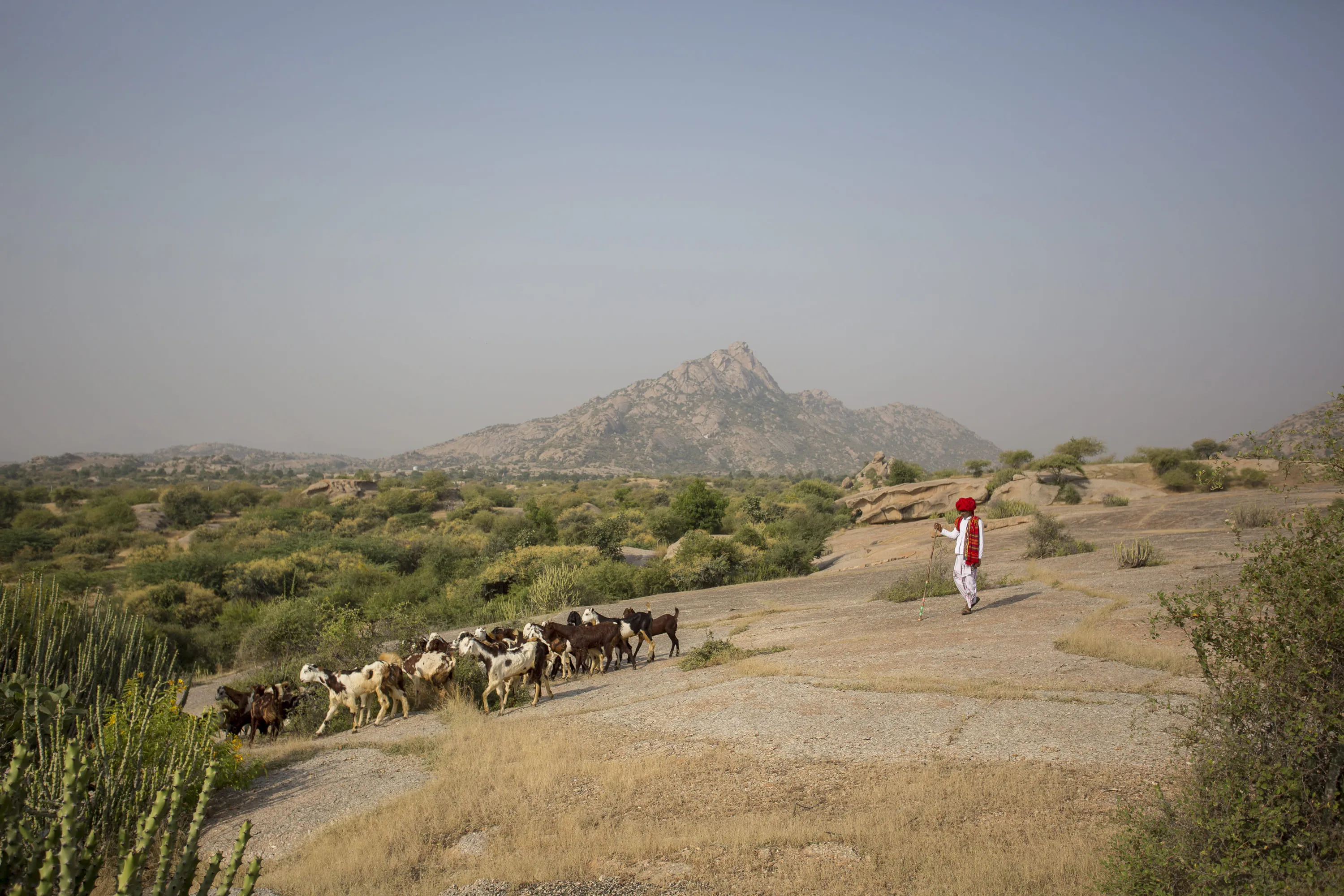 Rajasthan