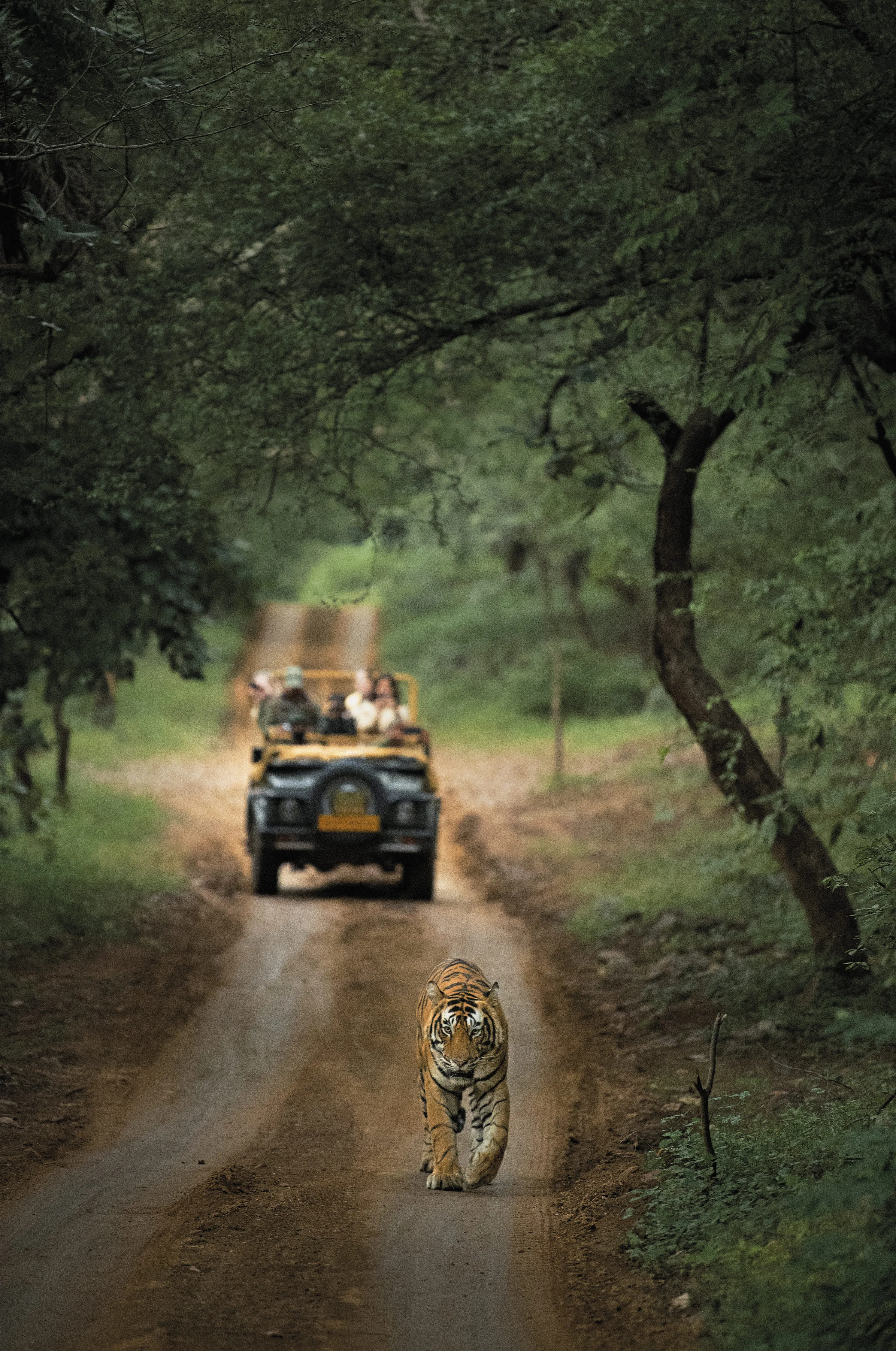 Rajasthan