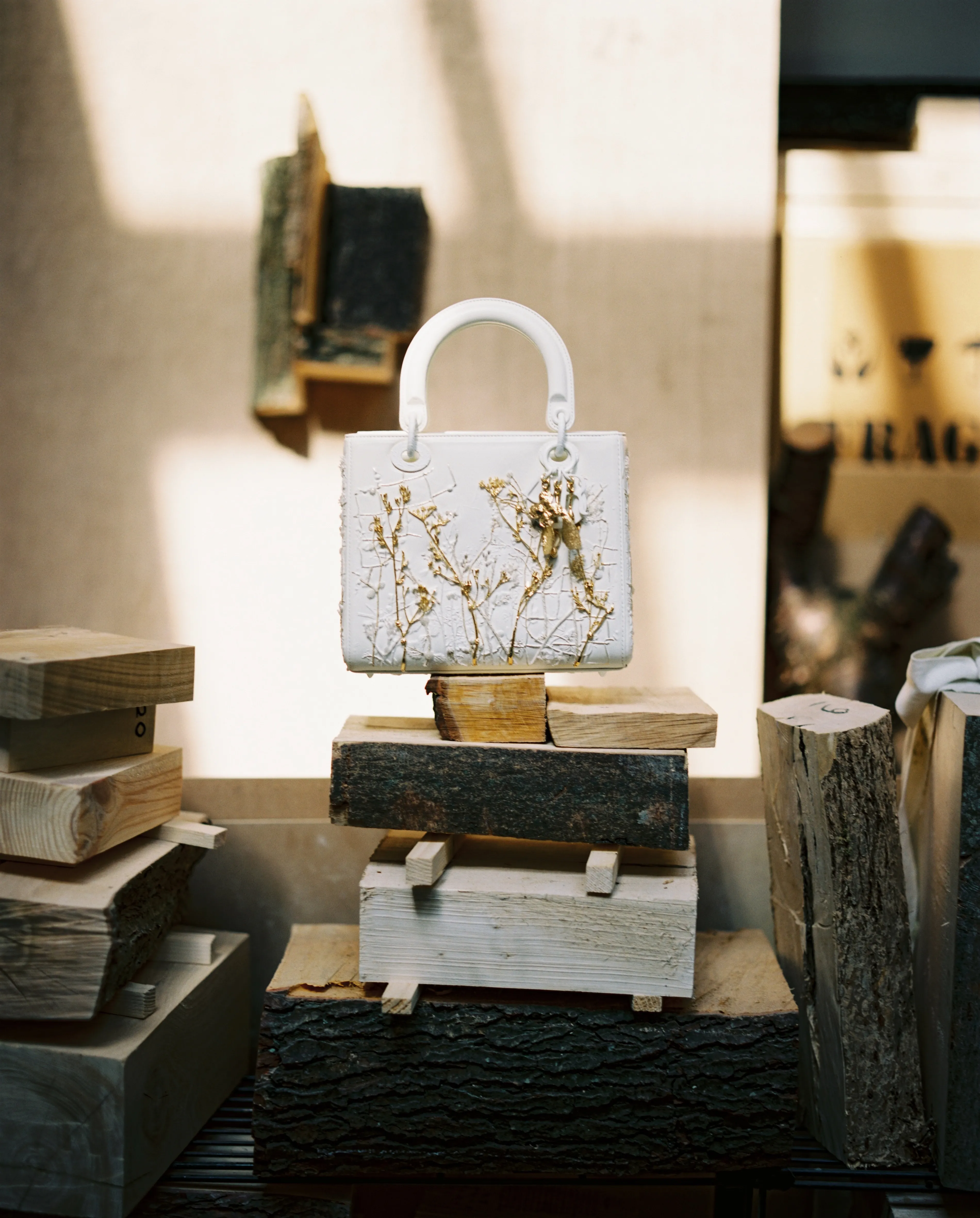 Lady Dior