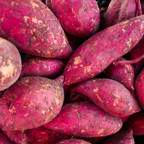 potato