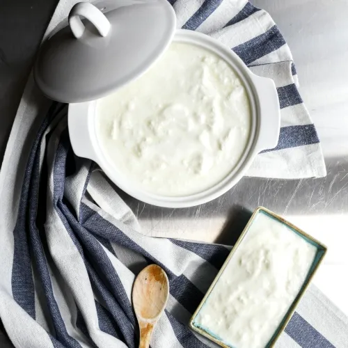 yoghurt