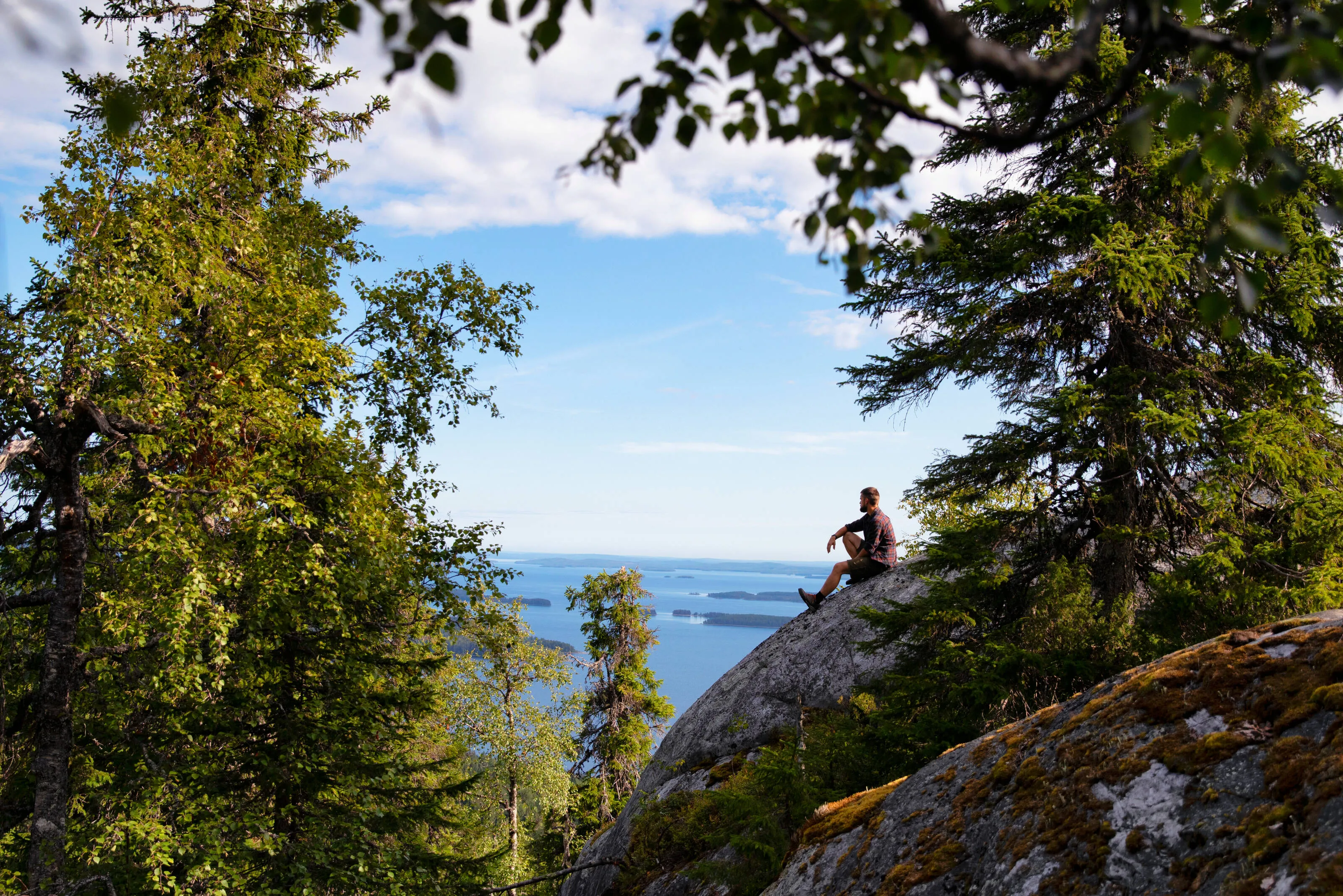 Discovering Finnish landscape: Koli | Visit Finland