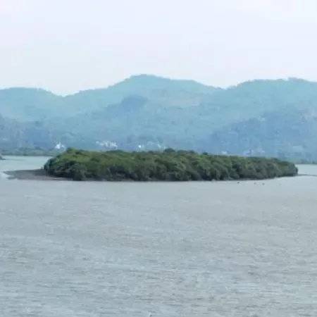 View of Panju Island