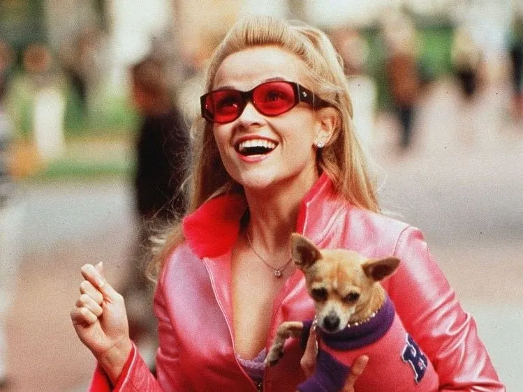 Legally Blonde 3: MGM confirms release date after Reese Witherspoon's  swimming pool tweet | The Independent | The Independent
