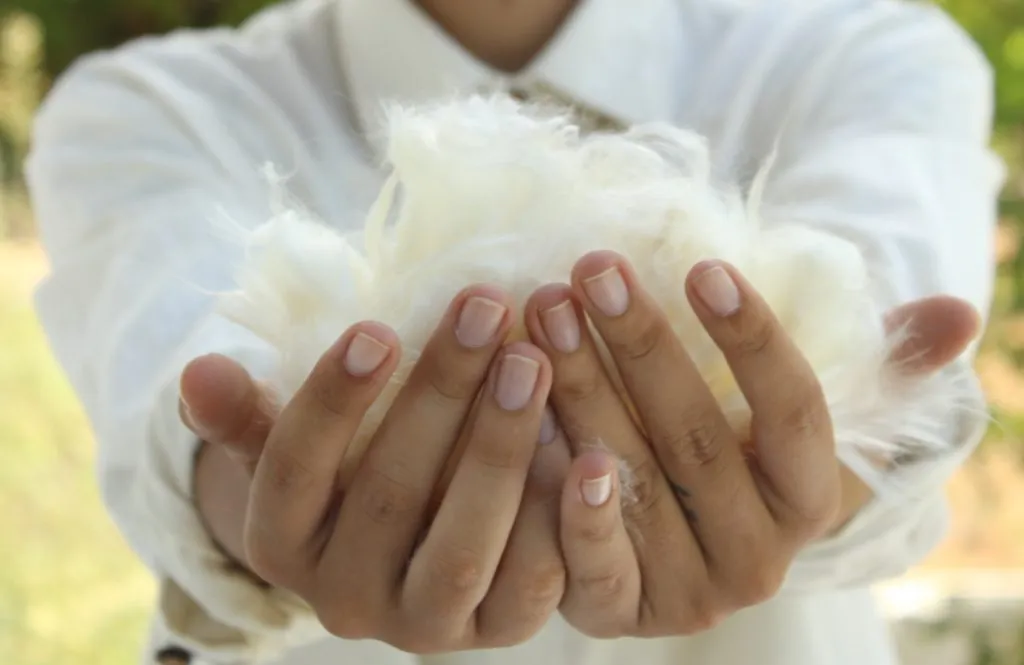 vegan wool