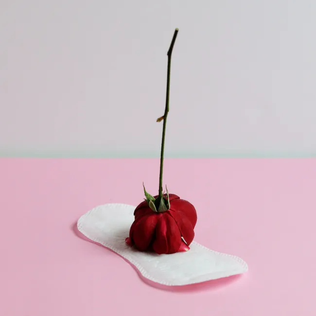 Menstrual Wellness PMS