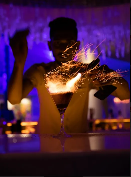 W Goa Gin Bar