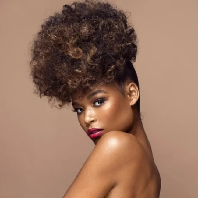 Curly Hairstyles afro
