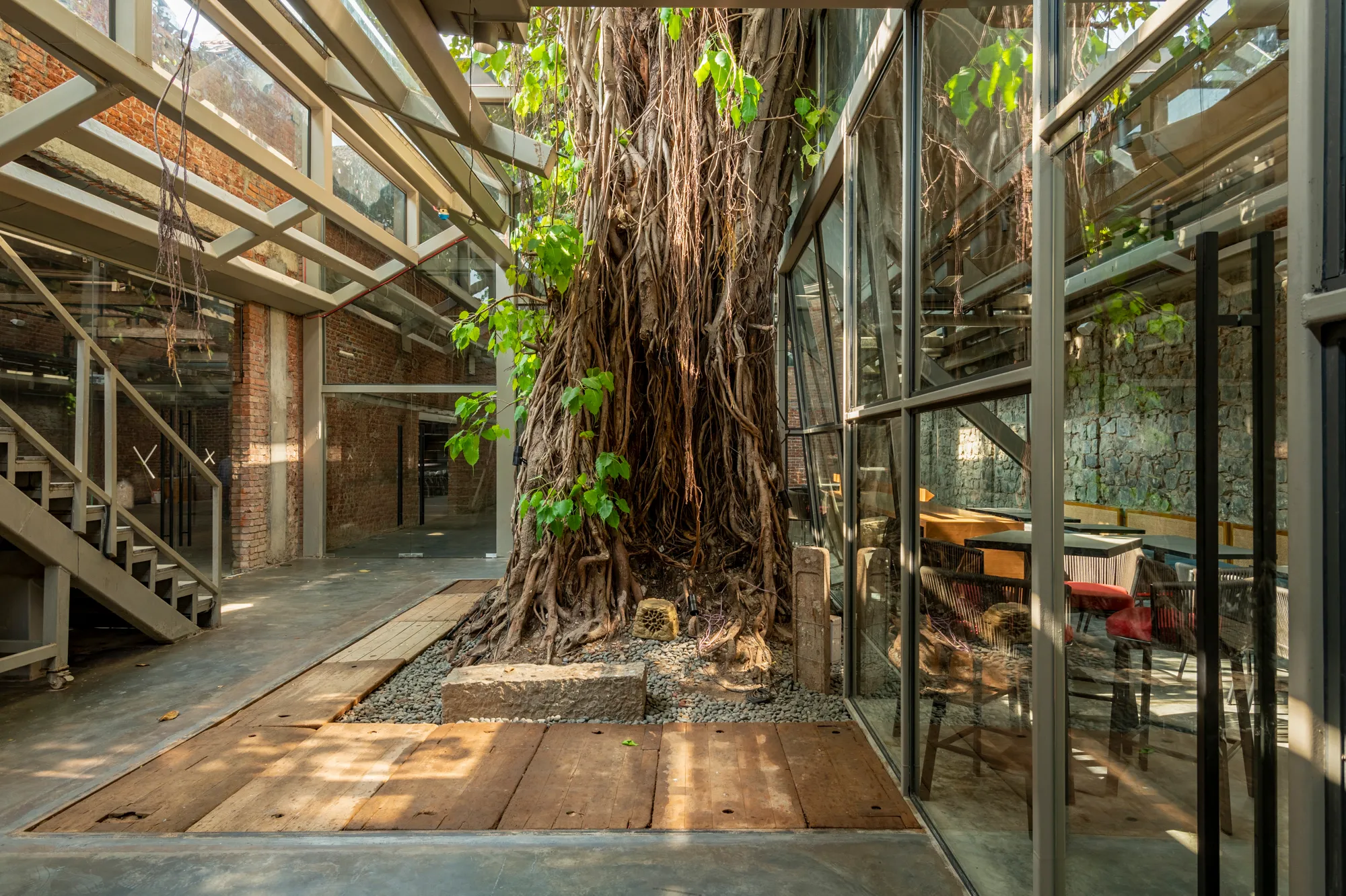 Banyan Tree Cafe