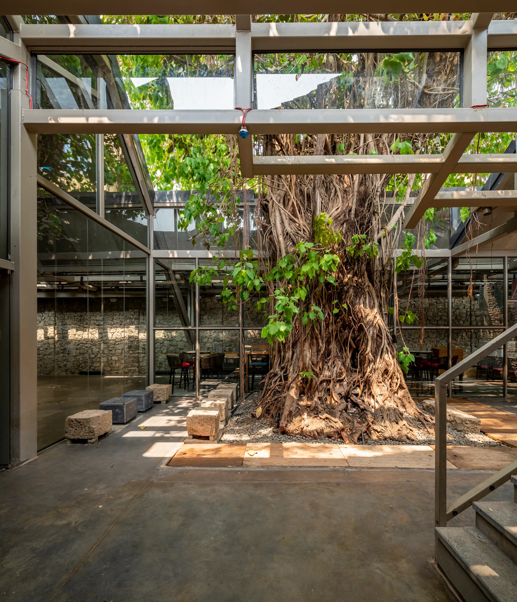 Banyan Tree Cafe