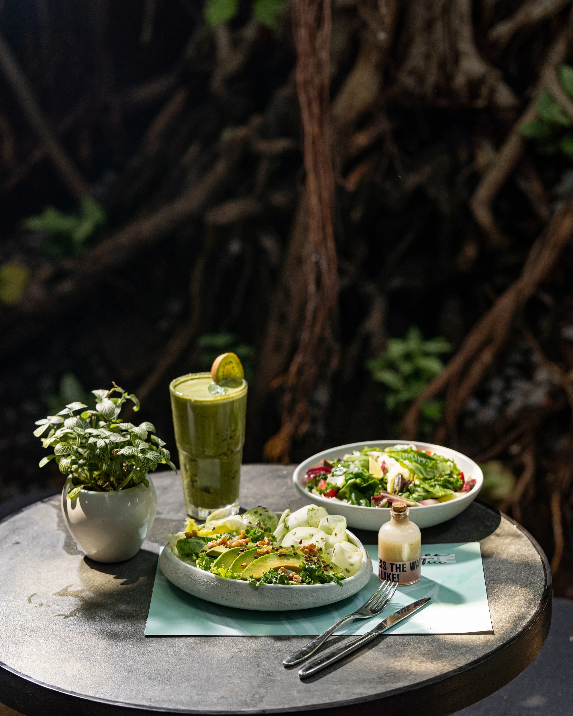 Banyan Tree Cafe