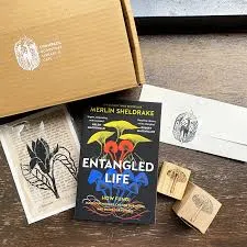 publive-image