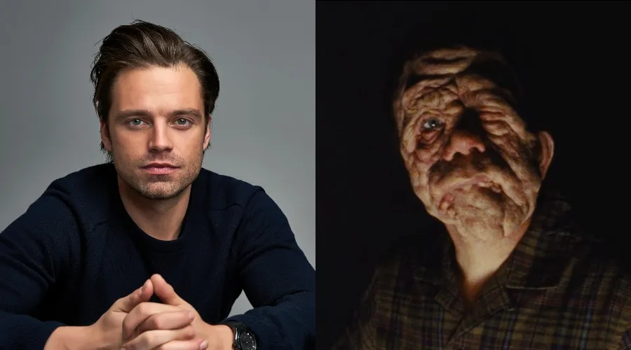 celebrity transformations