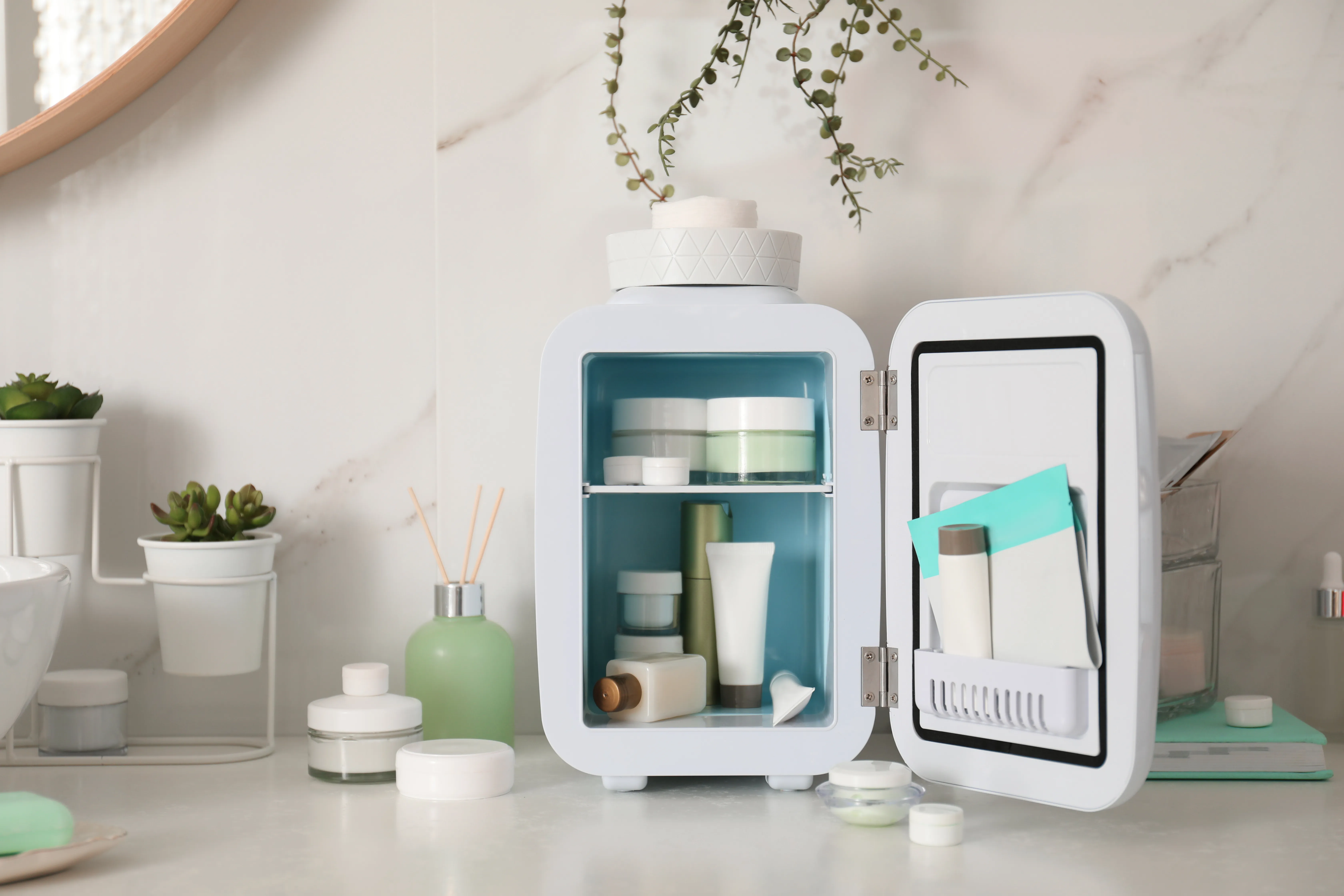 skincare fridge