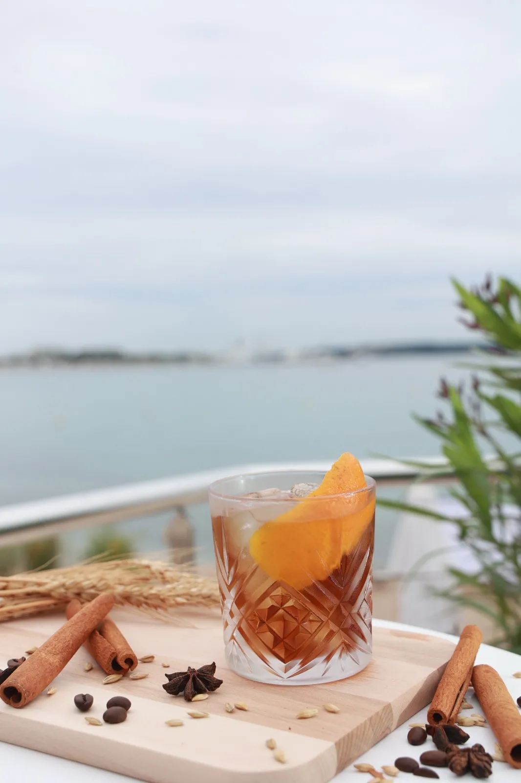 Cannes Film Festival