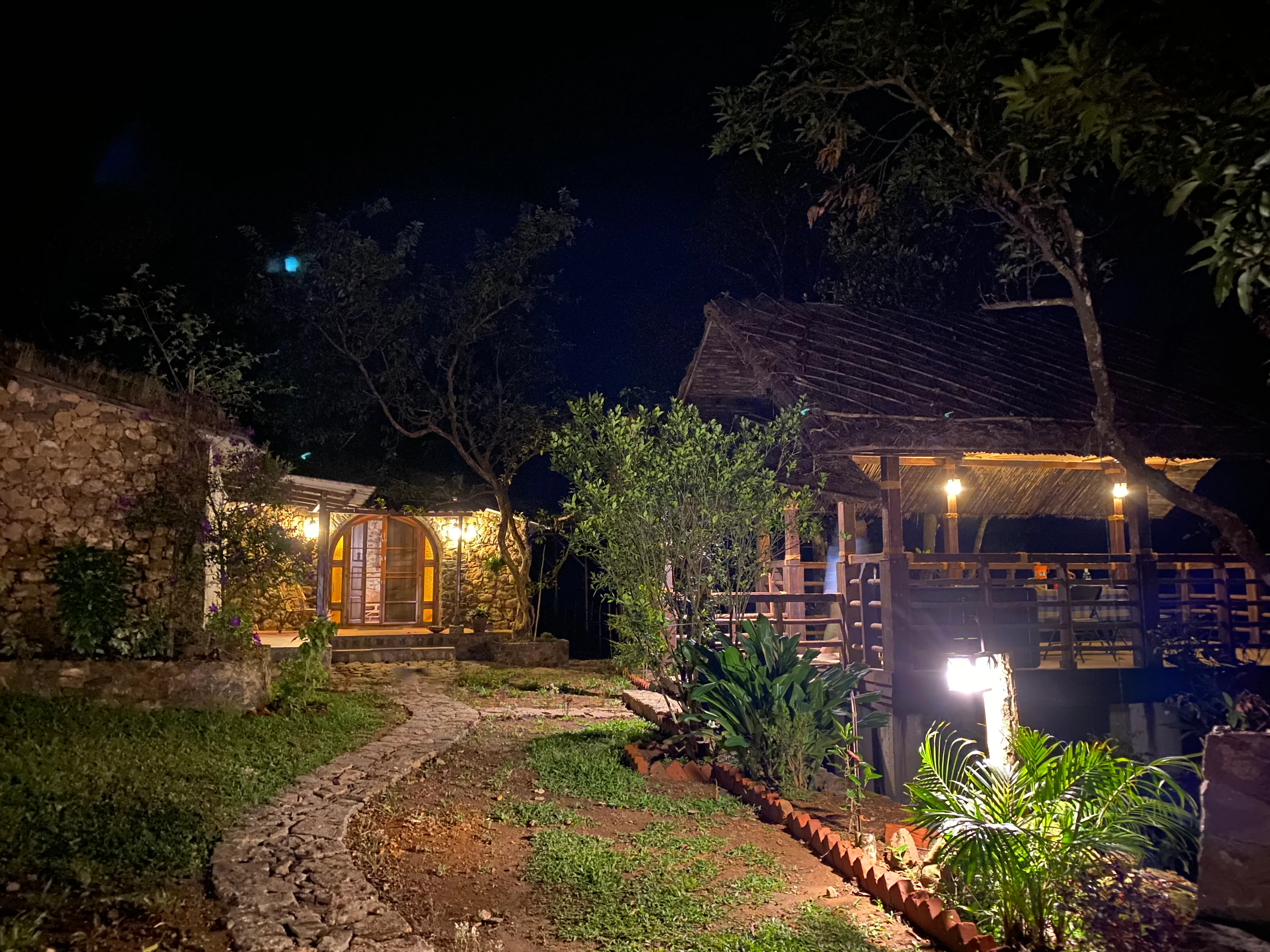 publive-image