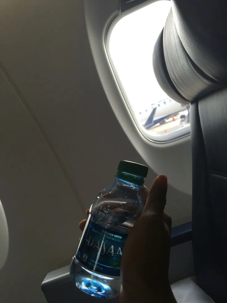 flight