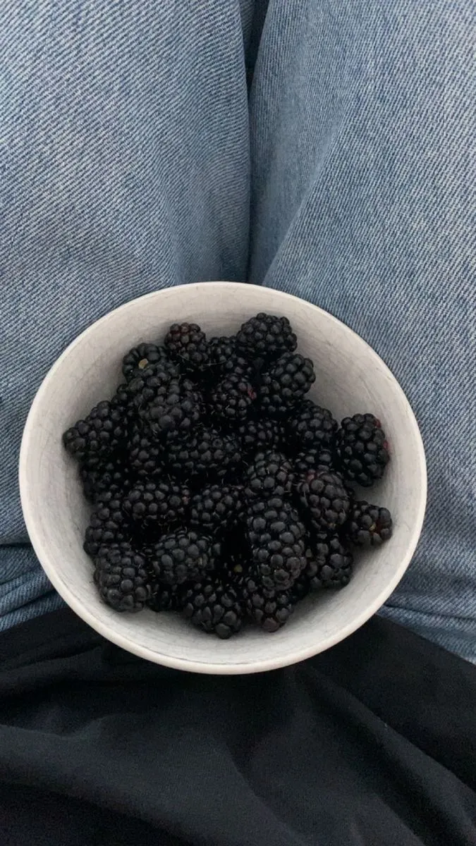 foods