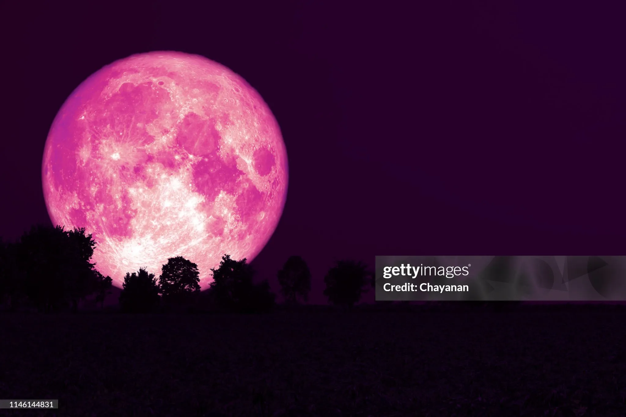 publive-image