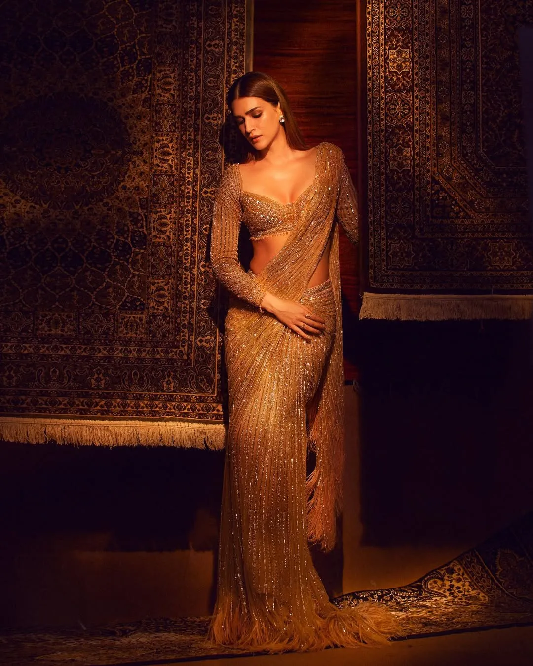 Sequin Sari