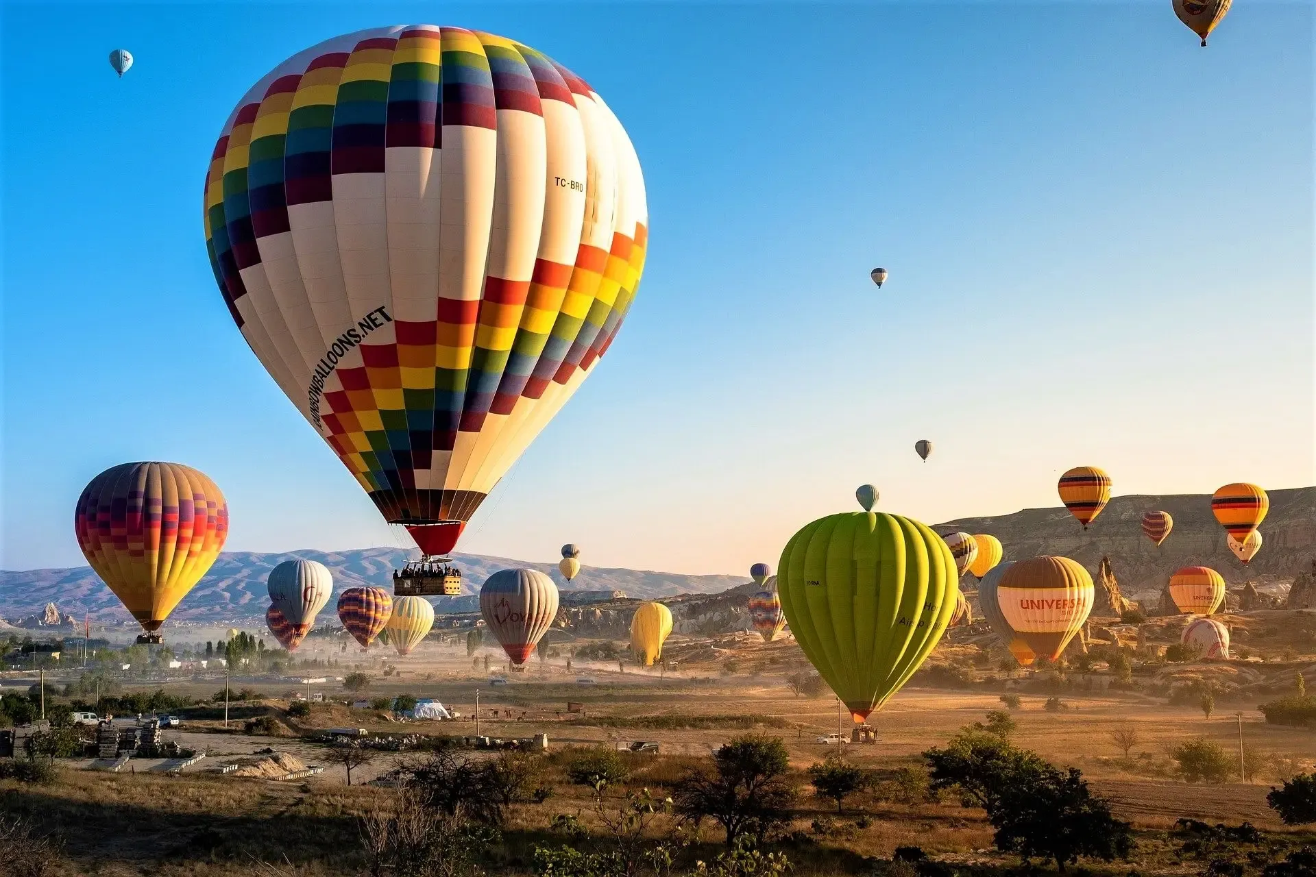 publive-image