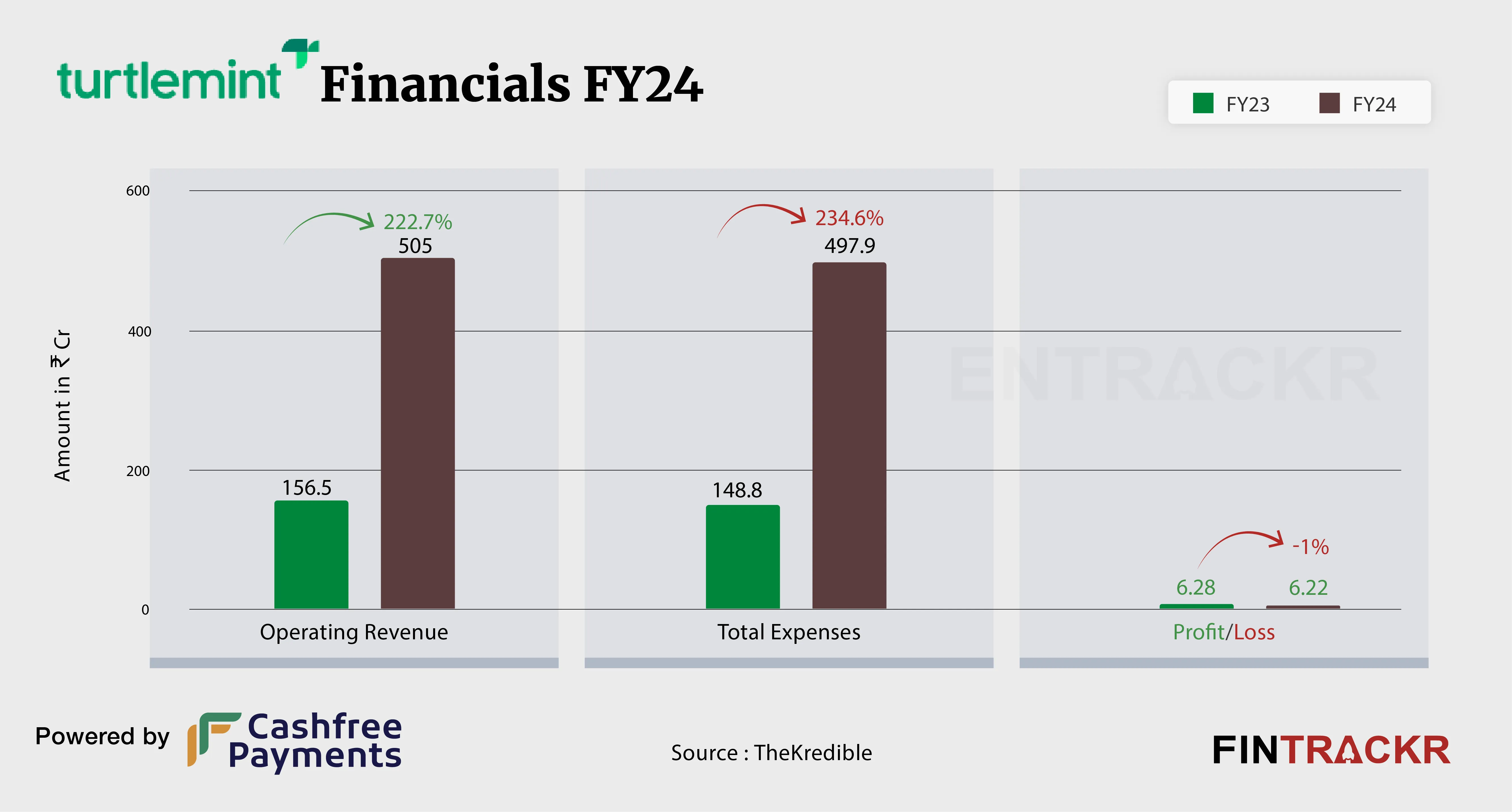 Turtlemint Financial-01