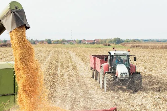 PM Kisan, PM Kisan Samman Nidhi, Wrong Information in PM Kisan, farmers benefit scheme, govt scheme for farmers, 6000 rs annual help to small farmers, 2000 rs 3 installment to farmers, what happen if you have given wrong information, who can apply for pm kisan, who can not apply for pm kisan, पीएम किसान, पीएम किसान सम्मान निधि