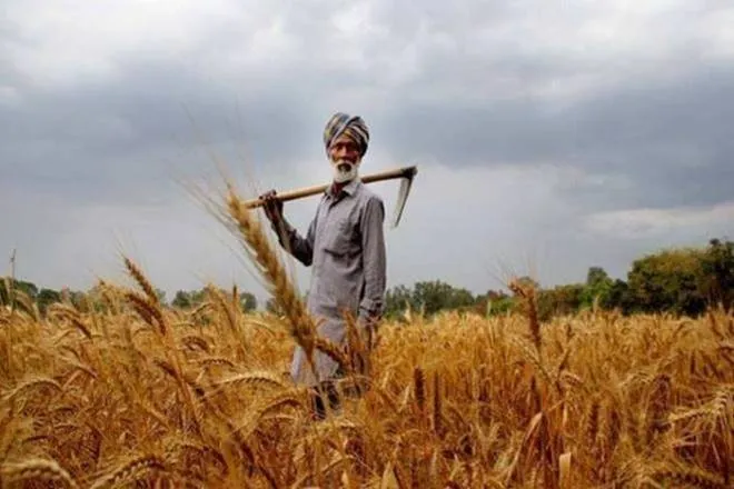 Crop insurance premium may increase in PMFBY 2.0 as government made it optional for farmers