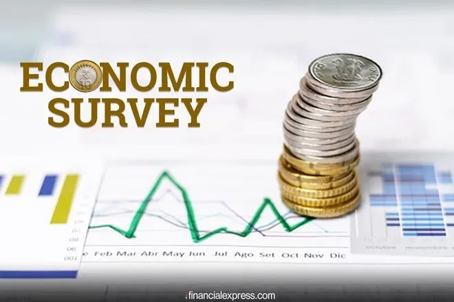Economic Survey 2020: More documents needed to open a restaurant than to buy a pistol in india