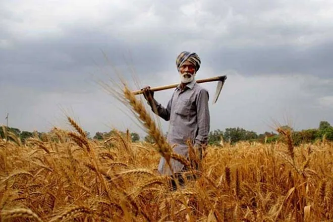PM Kisan, 3 installment of 2000 Rs to farmers, PM Kisan Samman Nidhi, have you given correct information, farmer name in PM Kisan, Aadhar and Bank Account detail in PM Kisan, how to correct wrong information in PM Kisan, govt schm,e for farmers