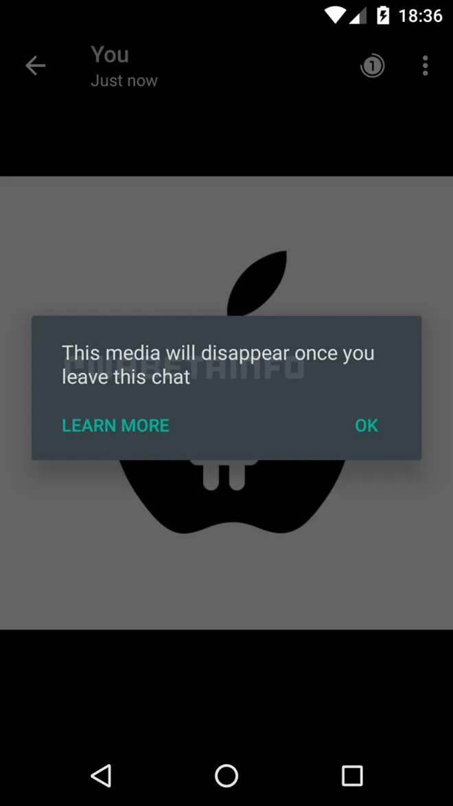 WhatsApp new feature, how will whatsapp expiring media feature work