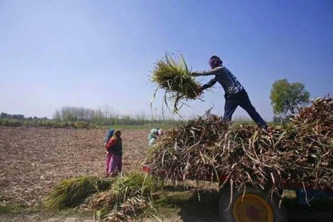 PM Kisan, PM Kisan Yojana, 2000 rupees installment, farmers not get installment proper, 6000 rs annual to farmers, RTI On PM Kisan, प्रधानमंत्री किसान योजना, farmers registration