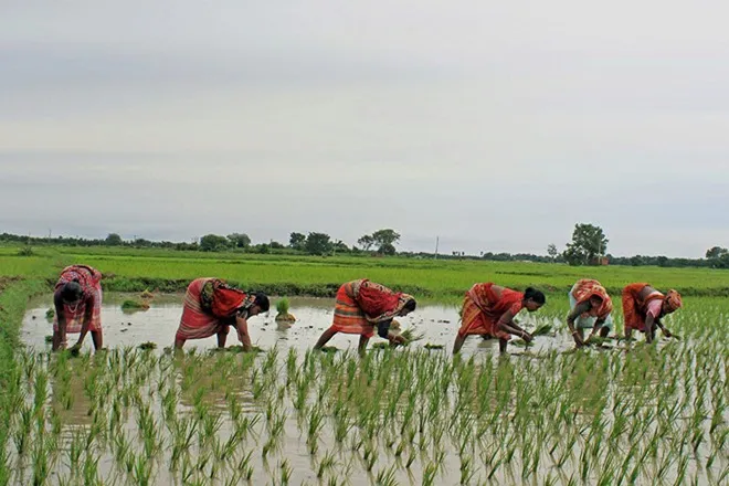 what is SBI Land Purchase Scheme, sbi lps, sbi scheme for purchase of agricultural Land