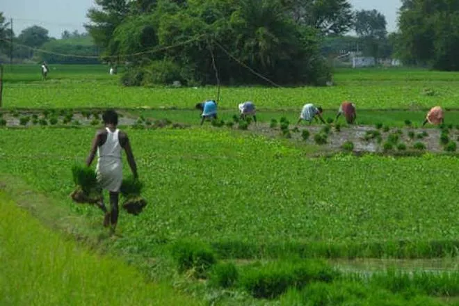 PM Kisan Samman Nidhi, PM Kisan Beneficieries, 6000 rupees in 3 insatallment, प्रधानमंत्री किसान सम्मान निधि, PM Kisan bank Account, farmers income, rural income