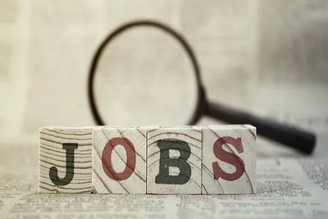ESIC payroll data unveils 12.44 lakh new jobs created in October here EPFO, NSO PFRDA facts