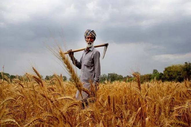 madhya pradesh government amends mandi act now private mandis can be opened farmers will get better price