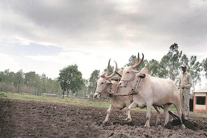 Cabinet approves amendment in Essential Commodities Act, farmers can now sales farm goods across India, farmers income rose, one nation one market, Essential Commodities Act, stock limit, deregulate prices, आवश्यक वस्तु अधिनियम, एसेंशियल कमोडिटी एक्ट