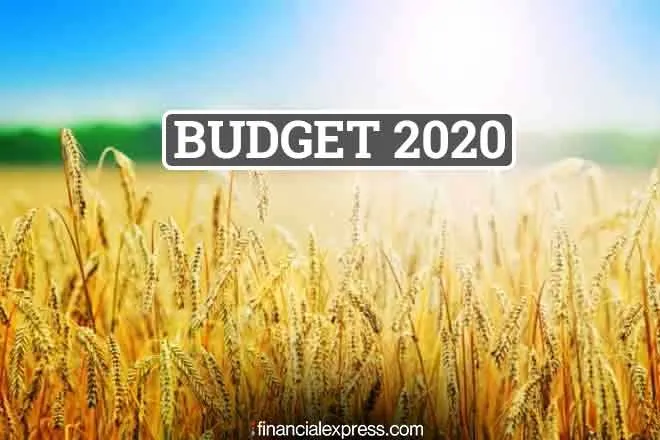 Budget 2020 modi government announces 16 point action plan to double farmer income by 2022