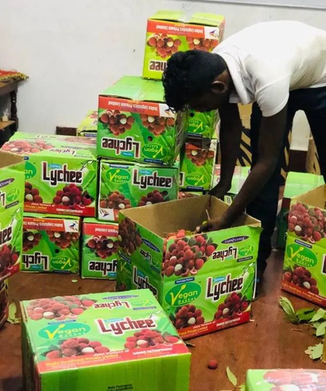 Litchi from Muzaffarpur is going to London, A farmer from Muzaffarpur, Bihar has sold Litchi to a buyer in London through digital platform of CSC